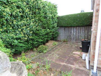 Picture 13